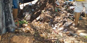 Una tonelada de desechos removió cuadrilla municipal del drenaje de la Plaza Zapara 12 IMG 20251027 WA0148