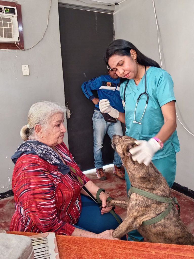 Jornada de Atención Animal en San Francisco ha beneficiado a más de 800 mascotas 5 1001115817