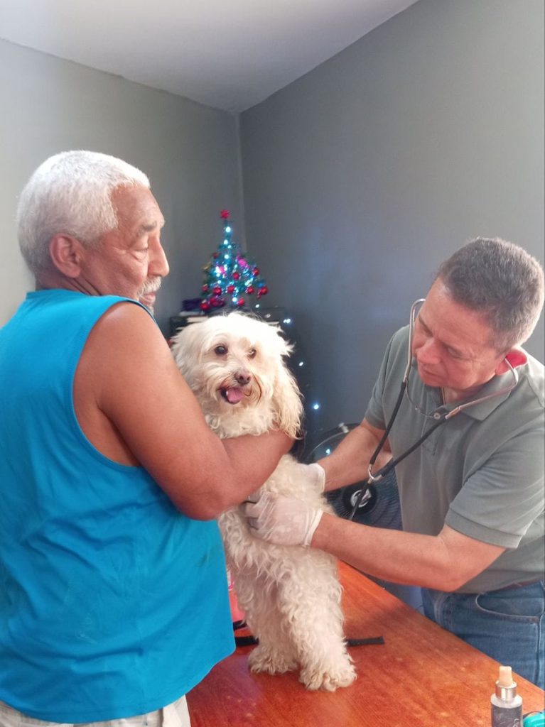 Jornada de Atención Animal en San Francisco ha beneficiado a más de 800 mascotas 4 1001115824