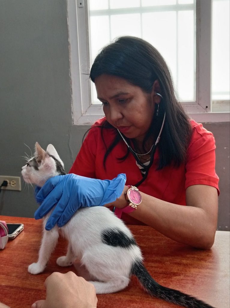 Jornada de Atención Animal en San Francisco ha beneficiado a más de 800 mascotas 2 1001115825