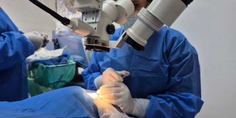 IMG 20251110 WA00731