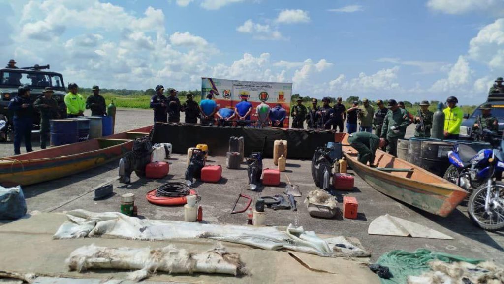 CPNB y GNB detienen a cinco sujetos vinculados al narcotráfico en operativo lacustre del Sur del Lago 3 1001217875