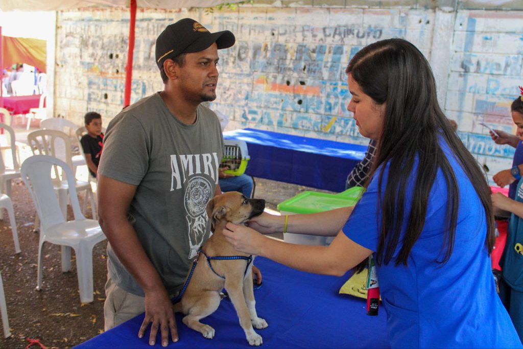 ¡En 3 meses! Instituto Municipal de Protección Animal supera las mil esterilizaciones y más de 5.000 atenciones<br> 2 1001282376