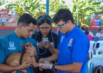 Gestión municipal lleva atención veterinaria gratuita a las comunidades de Maracaibo 3 IMG 20251206 WA0201