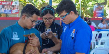 Gestión municipal lleva atención veterinaria gratuita a las comunidades de Maracaibo 12 IMG 20251206 WA0201