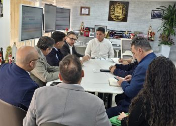 Inician mesas de trabajo con el sector privado para fortalecer el Sistema Eléctrico Nacional 2 IMG 20251215 WA0100