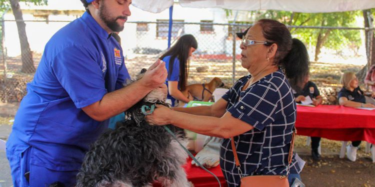 ¡En 3 meses! Instituto Municipal de Protección Animal supera las mil esterilizaciones y más de 5.000 atenciones<br> 1 IMG 20251228 WA0183