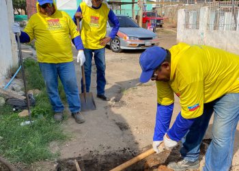 IMG 20260106 WA02601