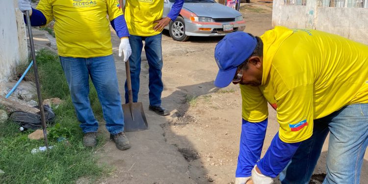 IMG 20260106 WA02601