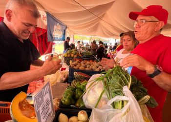 IMG 20260201 WA00321