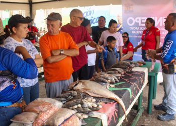 Este lunes 30 Alcaldía de Maracaibo inicia Feria del Pescado en Plaza para Todos