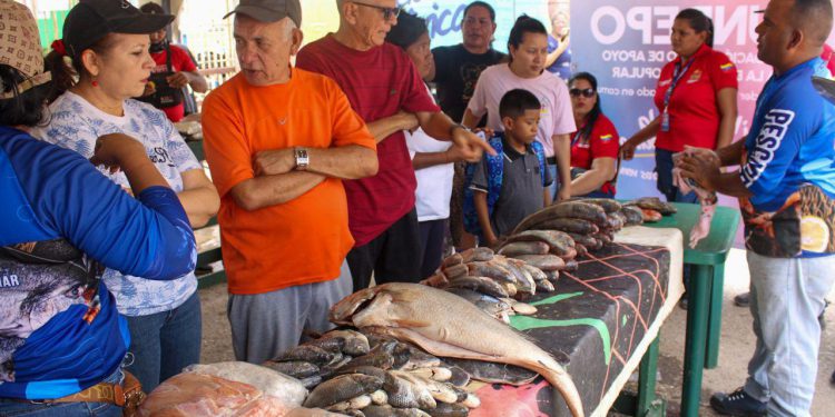 Este lunes 30 Alcaldía de Maracaibo inicia Feria del Pescado en Plaza para Todos