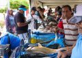 Productos frescos a precios solidarios vendieron en Feria del Pescado en la Curva‎ de Molina