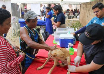 Vacunación antirrábica de mascotas llega a parroquia Juana de Ávila