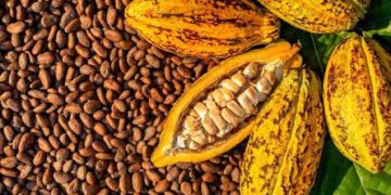 I Feria Artesanal de Café, Cocuy, Cacao y Miel destacará por su aporte económico al país