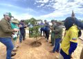 Inicia Plan de Reforestación Chuquisaca en el Zulia con el establecimiento de mil árboles autóctonos