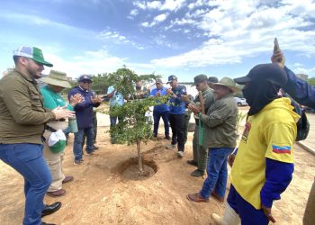Inicia Plan de Reforestación Chuquisaca en el Zulia con el establecimiento de mil árboles autóctonos