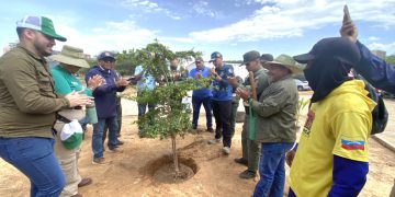 Inicia Plan de Reforestación Chuquisaca en el Zulia con el establecimiento de mil árboles autóctonos