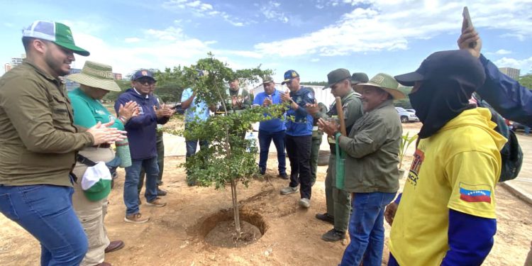Inicia Plan de Reforestación Chuquisaca en el Zulia con el establecimiento de mil árboles autóctonos