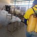 Jornada de fumigación de la Alcaldía de Maracaibo llega a 7 escuelas en 3 parroquias