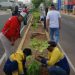 Maracaibo impulsa una nueva ordenanza para fortalecer la arborización urbana con enfoque ambiental