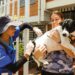 Misión Nevado desplegará de jornada de vacunación antirrábica en parroquia Francisco Eugenio Bustamante 12 Misión Nevado desplegará de jornada de vacunación antirrábica en parroquia Francisco Eugenio Bustamante