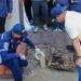 Tanquillas de electricidad llenas de grasas detectó la Alcaldía de Maracaibo en Altos del Sol Amada I