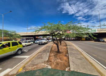 Sistema de drenajes responde de manera favorable  durante las lluvias registradas en Maracaibo