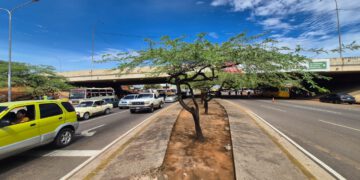 Sistema de drenajes responde de manera favorable  durante las lluvias registradas en Maracaibo