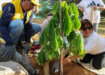 Concejo Municipal de Maracaibo debate nueva ordenanza de arboricultura urbana para mitigar el cambio climático 7 Concejo Municipal de Maracaibo debate nueva ordenanza de arboricultura urbana para mitigar el cambio climático