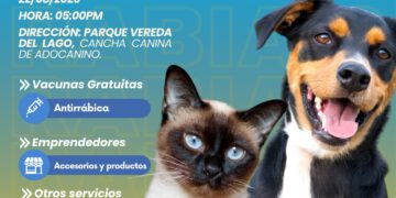 Misión Nevado desplegará este sábado gran Feria Animalista y jornada de vacunación antirrábica en Maracaibo 12 Misión Nevado desplegará este sábado gran Feria Animalista y jornada de vacunación antirrábica en Maracaibo