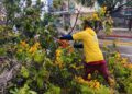 Alcaldía de Maracaibo mantiene despliegue de emergencia y monitoreo tras el paso de la Onda Tropical N° 40 12 Alcaldía de Maracaibo mantiene despliegue de emergencia y monitoreo tras el paso de la Onda Tropical N° 40