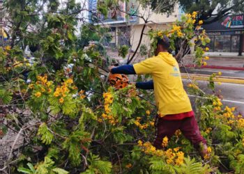 Alcaldía de Maracaibo mantiene despliegue de emergencia y monitoreo tras el paso de la Onda Tropical N° 40