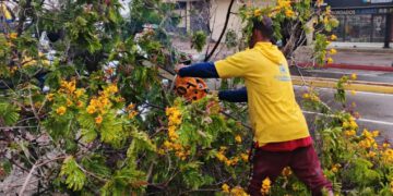 Alcaldía de Maracaibo mantiene despliegue de emergencia y monitoreo tras el paso de la Onda Tropical N° 40