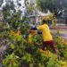 Alcaldía de Maracaibo mantiene despliegue de emergencia y monitoreo tras el paso de la Onda Tropical N° 40 11 Alcaldía de Maracaibo mantiene despliegue de emergencia y monitoreo tras el paso de la Onda Tropical N° 40