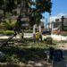 Alcaldía de Maracaibo sigue en la calle atendiendo las emergencias por árboles caídos.