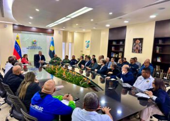 Reunión especial del Consejo de Economía Regional acordó temas de seguridad, electricidad, impuestos y combustibles
