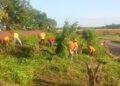 Instituto Autónomo Regional del Ambiente mantiene desplegado plan de saneamiento en la vía Lara-Zulia 13 Instituto Autónomo Regional del Ambiente mantiene desplegado plan de saneamiento en la vía Lara-Zulia