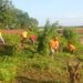 Instituto Autónomo Regional del Ambiente mantiene desplegado plan de saneamiento en la vía Lara-Zulia