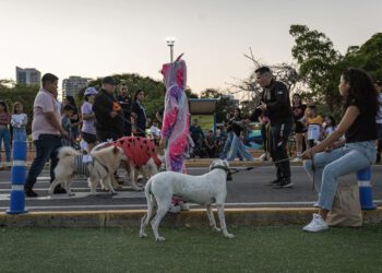 Primera “Caminata en Manada” por el bienestar canino organiza Alcaldía de Maracaibo