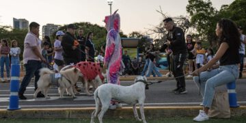 Primera “Caminata en Manada” por el bienestar canino organiza Alcaldía de Maracaibo