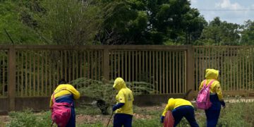 Despliegan jornada de saneamiento ambiental en el distribuidor La Chinita