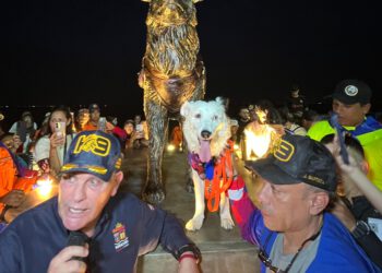 Héroe canino: Tsunami recibió merecido homenaje con monumento en su nombre 3 Héroe canino: Tsunami recibió merecido homenaje con monumento en su nombre