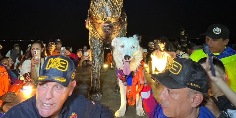 Héroe canino: Tsunami recibió merecido homenaje con monumento en su nombre 1 Héroe canino: Tsunami recibió merecido homenaje con monumento en su nombre