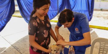 Maracaibo se suma a la Jornada de Castralat este lunes 5 en el Día Mundial de los Animales