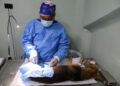 Gestión Municipal impulsa el bienestar animal con la jornada masiva Castralat
