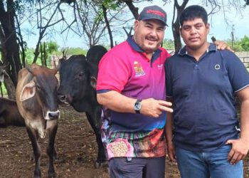 Maracaibo culminó Plan Nacional de Caracterización de la Ganadería Bovina