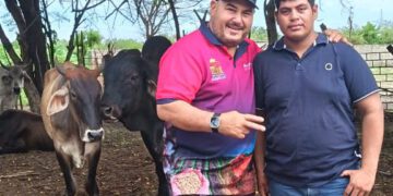 Maracaibo culminó Plan Nacional de Caracterización de la Ganadería Bovina