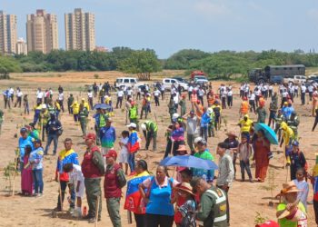 Ministro de Ecosocialismo Nelson Rodríguez lideró jornada de siembra en Vereda del Lago