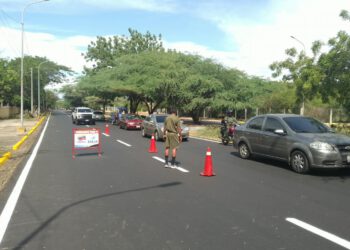 Instituto Municipal del Ambiente insta a Corpoelec a mesa de trabajo para coordinar planes de poda en Maracaibo